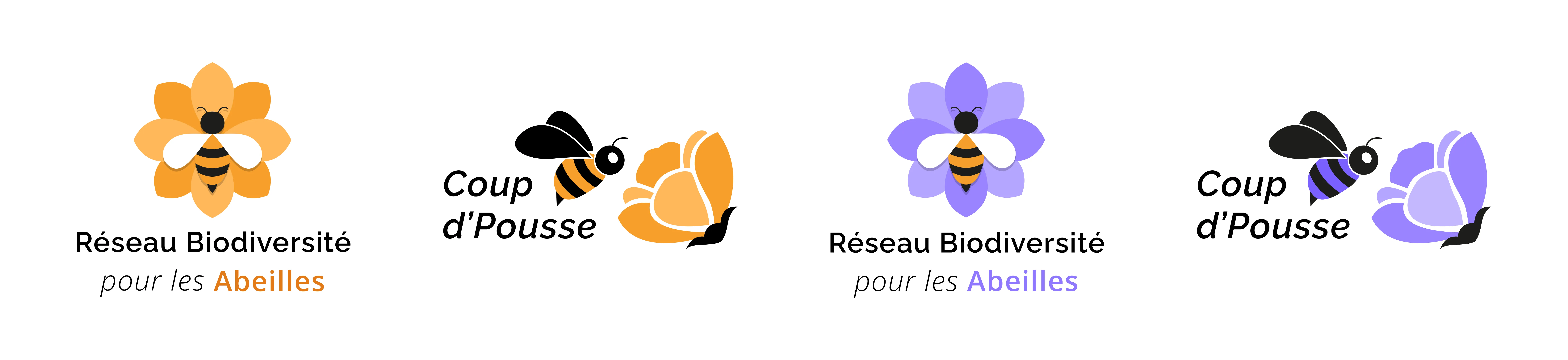 Visuel d'introduction RBA